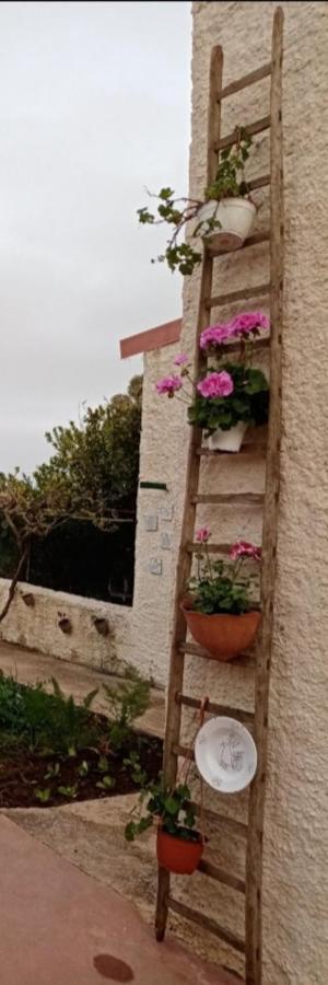 La Dimora Di Nonno Nuccio Hotell Ragusa Eksteriør bilde